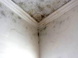 Best Residential Mold Inspection & Testing in Colton, CA