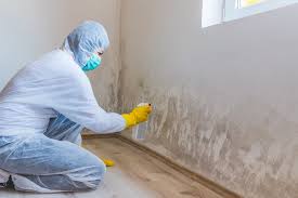 Trusted Colton, CA Mold Removal Experts